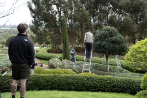 Ichicoo Park 11 April 2026-7718