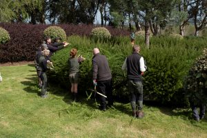 Ichicoo Park 11 April 2026-7756 Ichicoo Park 11 April 2026-7756