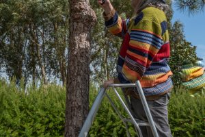 Ichicoo Park 11 April 2026-7787 Ichicoo Park 11 April 2026-7787