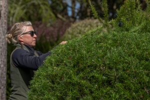 Ichicoo Park 11 April 2026-7825 Ichicoo Park 11 April 2026-7825