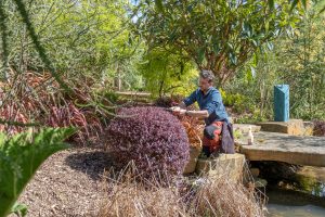 Ichicoo Park 11 April 2026-7984 Ichicoo Park 11 April 2026-7984